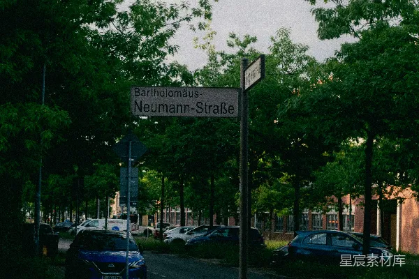 高清摄影 一个写着“Neumann-Strasse”的街道标志牌，标志牌前有树木和停着的汽车。