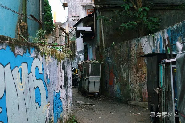 高清摄影 一条有建筑物和树木的街道