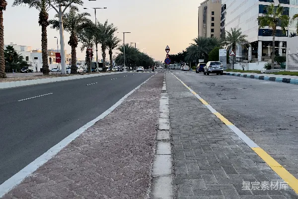 高清摄影 一条两旁种有棕榈树的街道，旁边有一座高楼。