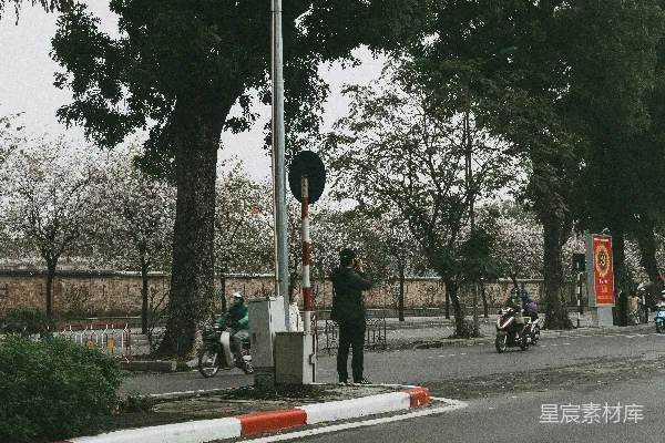 高清摄影 白天，人们在树木附近的人行道上行走。