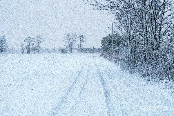 雪覆盖的道路，位于一片积雪的田野中