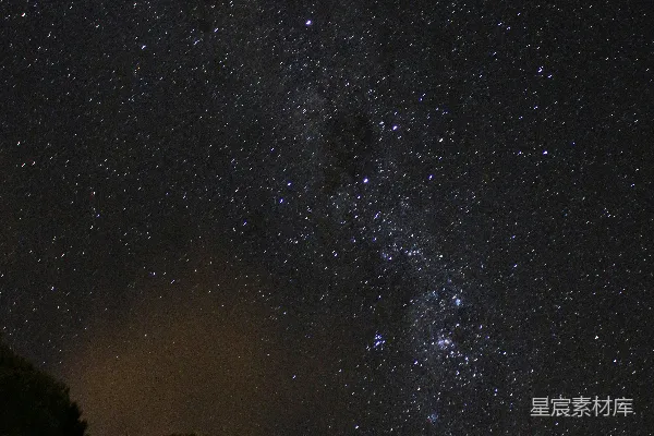 夜空布满了星星和树木