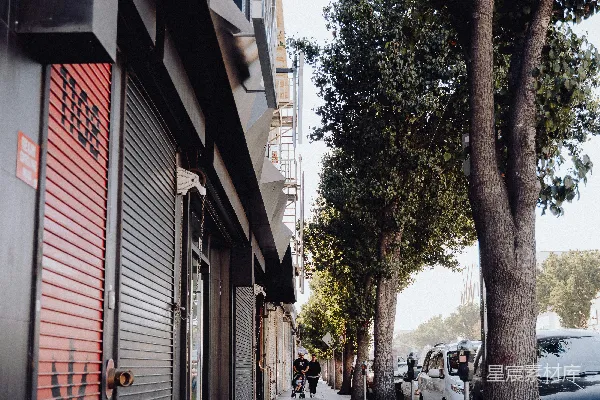 高清摄影 人行道旁的建筑物旁边有一棵树