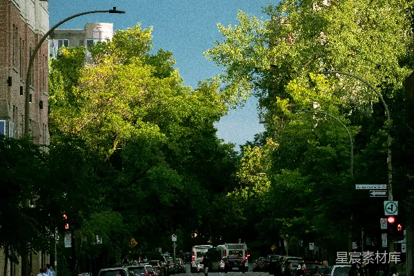 高清摄影 一条繁忙的街道，旁边是高大的建筑物。