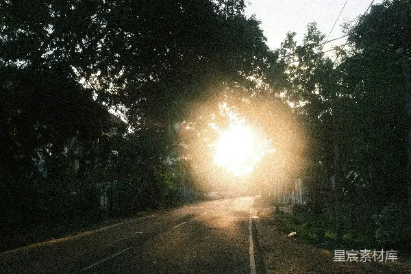 高清摄影 阳光透过路边的树木照耀下来。