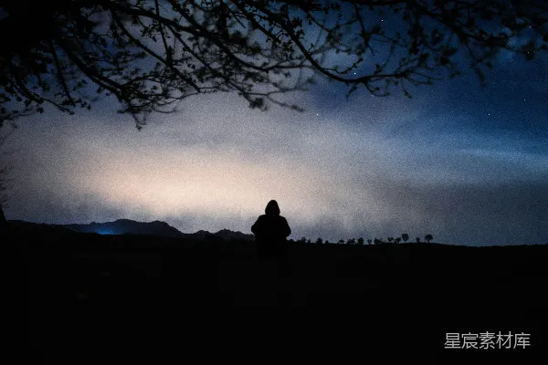 夜晚树下站立的人