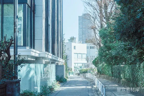 高清摄影 一条安静的街道，两旁是现代化的建筑和树木。