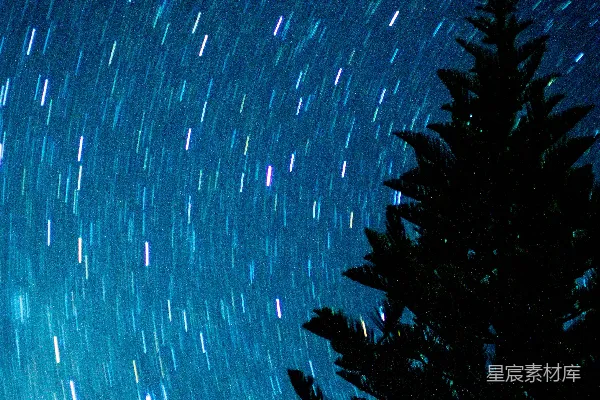 树的轮廓摄影