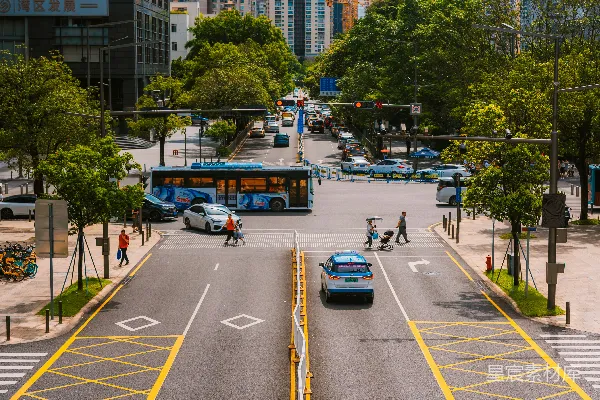 高清摄影 一条城市街道上有一辆公共汽车和几辆汽车。