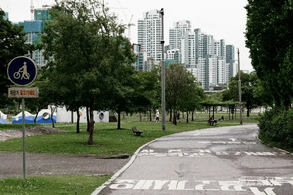 高清摄影 一条街道，旁边设有一个自行车道。