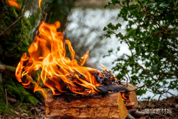 森林中熊熊燃烧着大火。