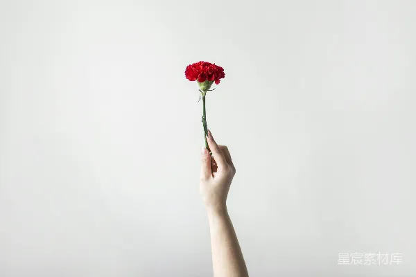 正确的人的手拿着花