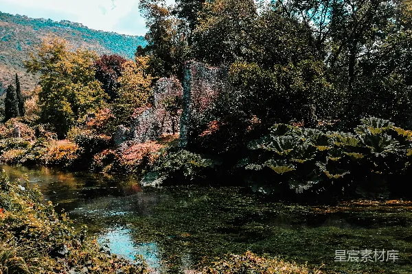 高清摄影 白天河边绿树成荫