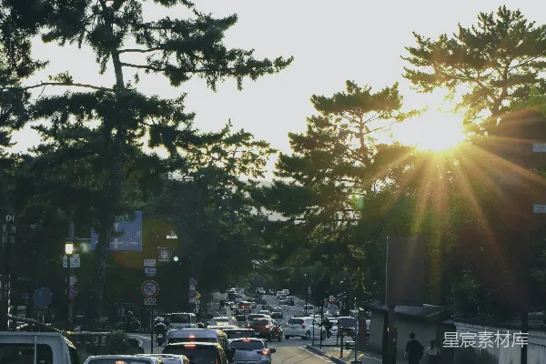 高清摄影 一条充满交通的市区街道