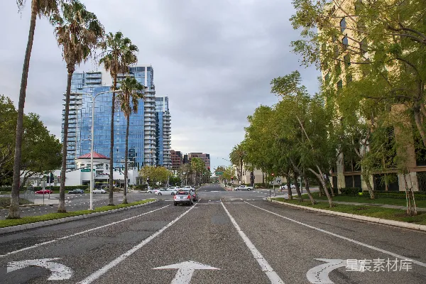 高清摄影 一条城市街道，背景中有棕榈树和建筑物。