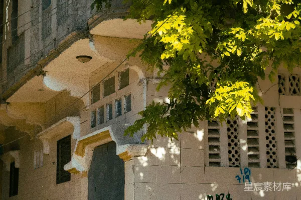 老建筑旁有绿树和一个蓝塑料袋。