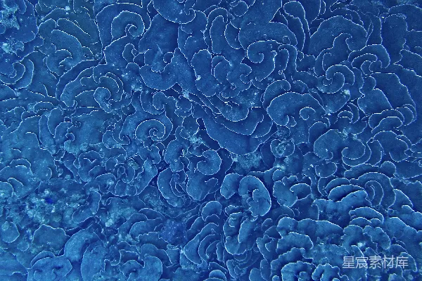 绿色花卉壁纸