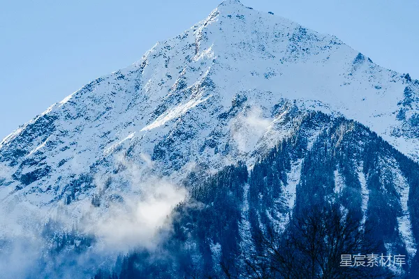 山峰覆盖着白雪，前景有一棵树。