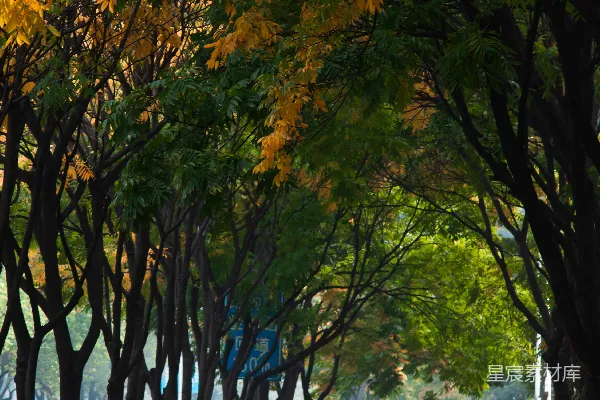 高清摄影 一群人骑着摩托车沿着街道行驶