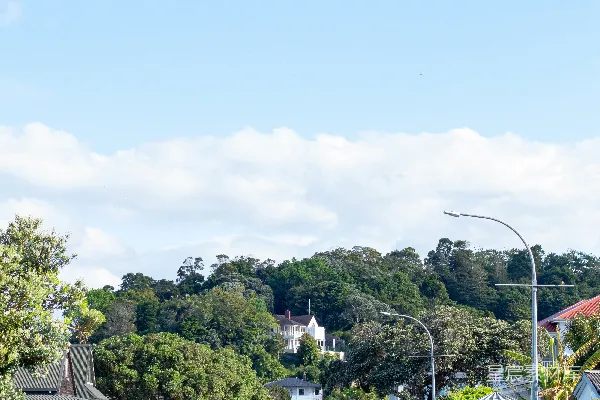 一条路边停着汽车的街道