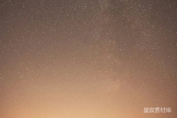 一群树木上方有星空