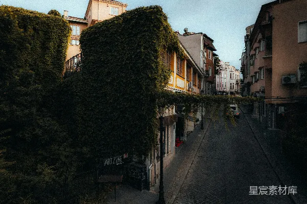 高清摄影 一条两旁矗立着高大建筑物的街道，这些建筑物上爬满了藤蔓。