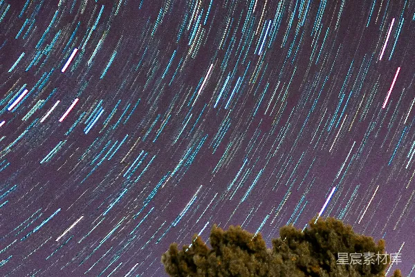 星空下的树的慢动作摄影