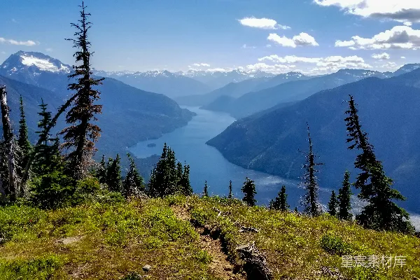 山脚下绿草地上有几棵翠绿的松树，在蓝天白云下白天景色。