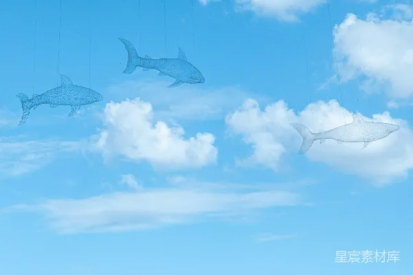 高清摄影 一幅画中有鱼和鱼在天空中。