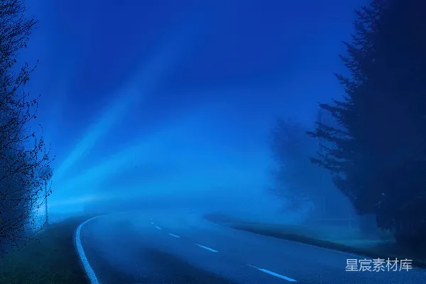 高清摄影 树木之间的道路