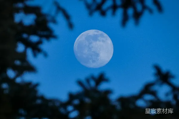 高清摄影 夜空下蓝天下树木的剪影