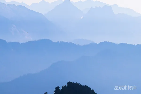 高清摄影 白天山上的绿树