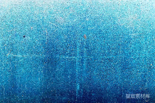 高清摄影 蓝水上的一只黑白鸟