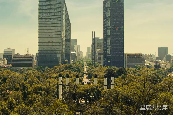 现代 skyscrapers 跃然于一片密集的绿色森林之上。