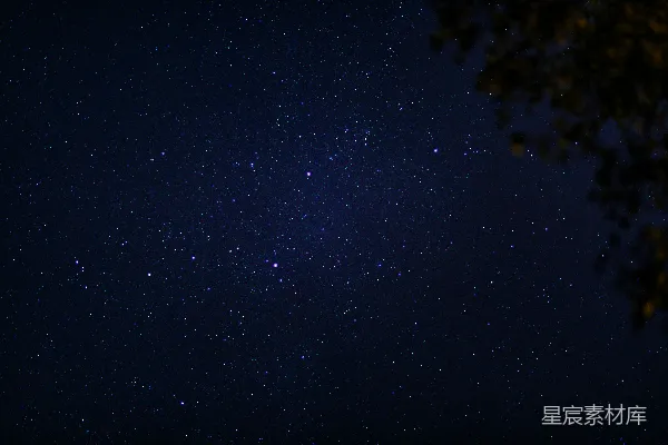 高清摄影 一个夜晚的星空和一棵树