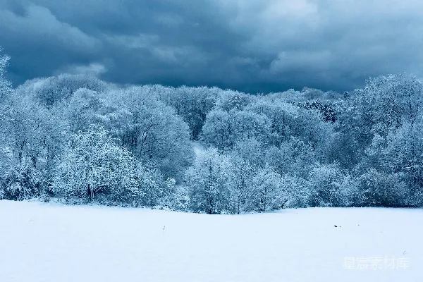 高清摄影 一个被雪覆盖的田野，背景中有树木。