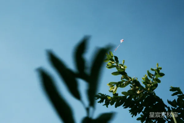 高清摄影 一只风筝高高地在天空中飞着