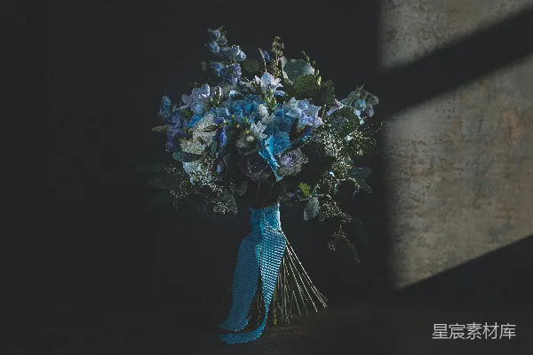 高清摄影 蓝白花束