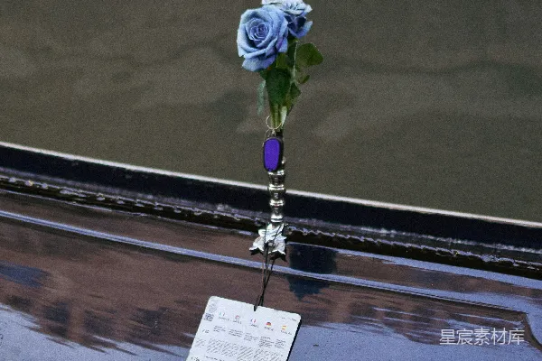 高清摄影 一束蓝色玫瑰花放在汽车的引擎盖上