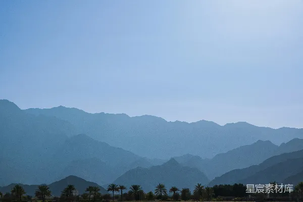 前景有棕榈树的山脉景色