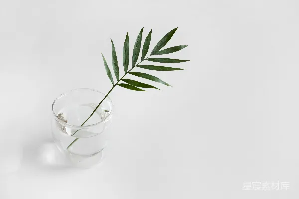 高清摄影 绿色线状植物放在清澈的饮料杯里