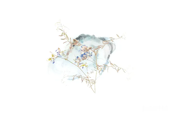 高清摄影 抽象艺术画