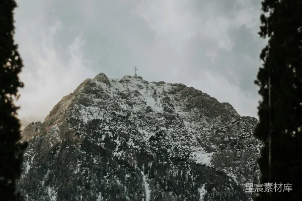 山脚下覆盖着白雪的树木