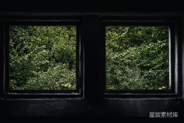 窗前绿树
