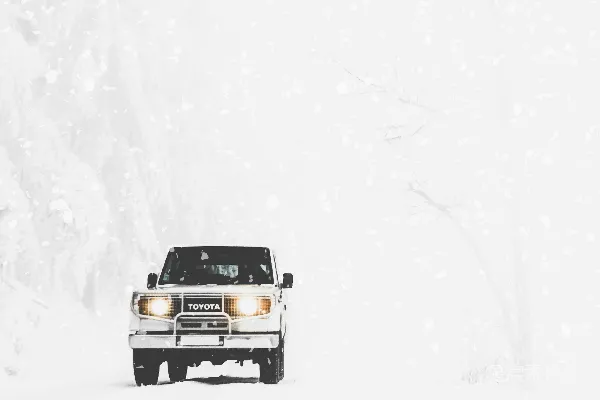 高清摄影 丰田SUV上覆盖着积雪