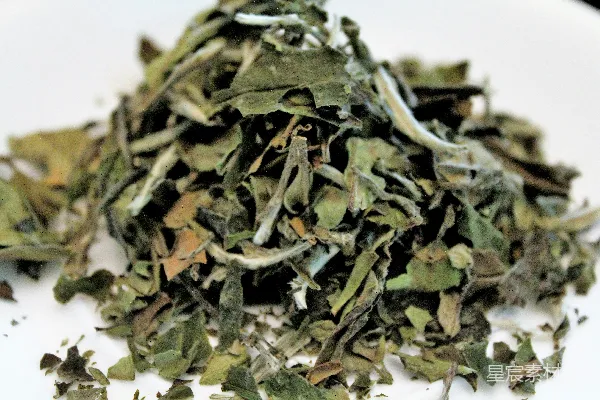 高清摄影 绿色和棕色的干叶