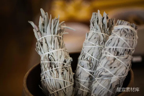 高清摄影 棕色木盆中的白色花朵