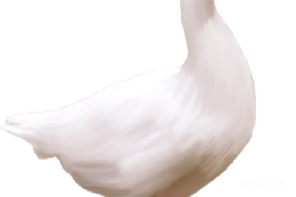 元素素材 白色