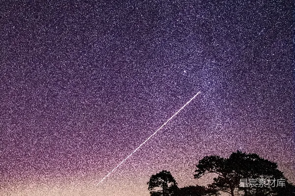 星夜下的树影轮廓