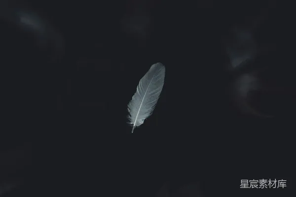 高清摄影 在黑暗中漂浮的一根白羽毛